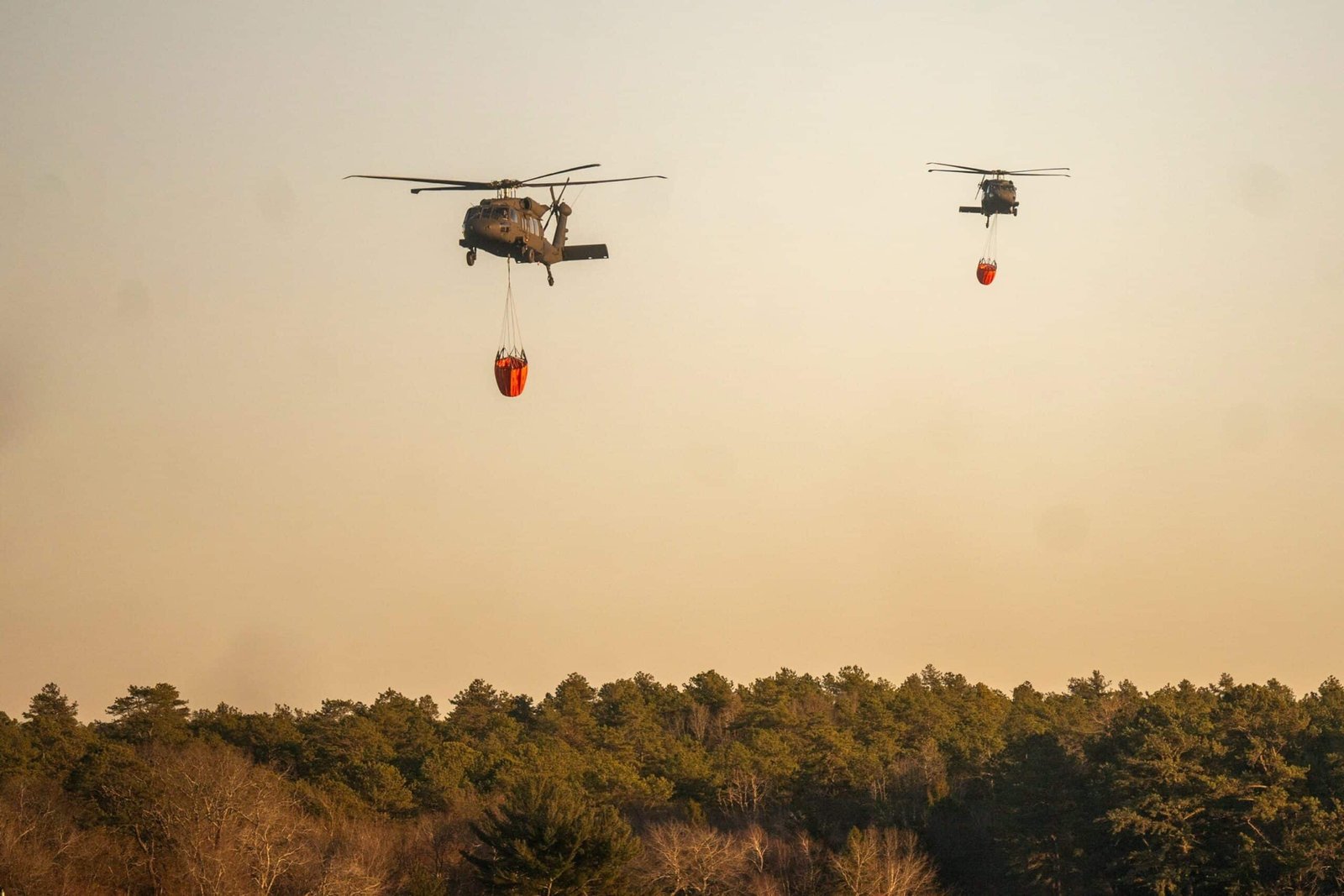 लॉन्ग आइलैंड वाइल्डफायर का संदिग्ध कारण एक निवासी था जो s'mores: पुलिस बना रहा था