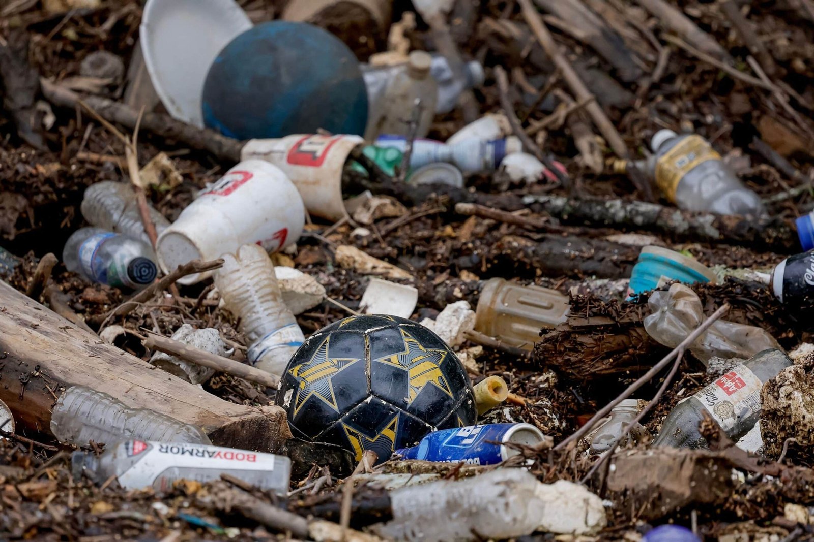 कुछ विशेषज्ञों का कहना है कि ट्रम्प की नीतियां पर्यावरण को लंबे समय तक प्रभावित कर सकती हैं, जब वह कार्यालय छोड़ते हैं, कुछ विशेषज्ञ कहते हैं