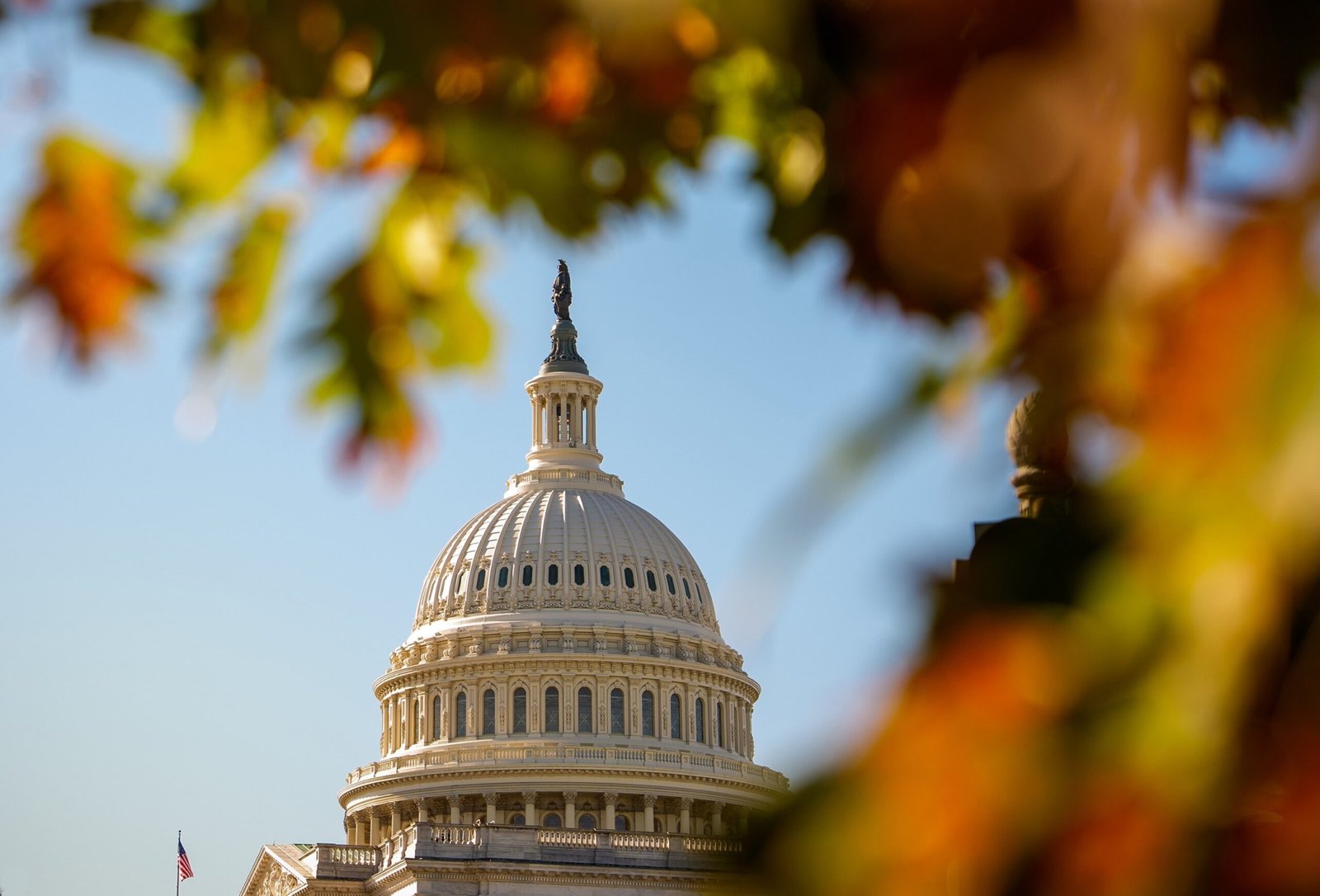 चुनाव के दिन से एक साल दूर, मंगलवार के नतीजे 2026 मध्यावधि को आकार दे सकते हैं